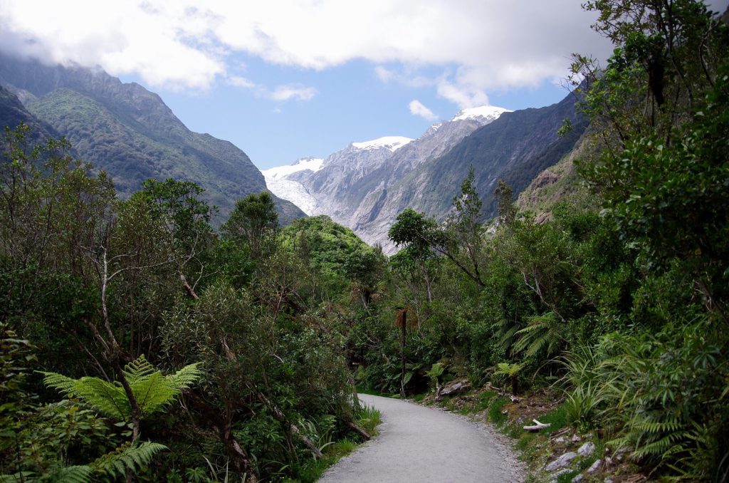 franz_josef_glacier_pathway